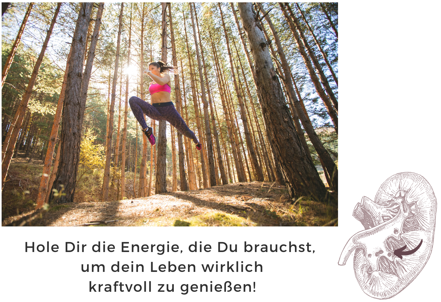 Boho Moderne Broschüre - Z-Falz-Broschüre und Flyer in gedeckten Farben-10